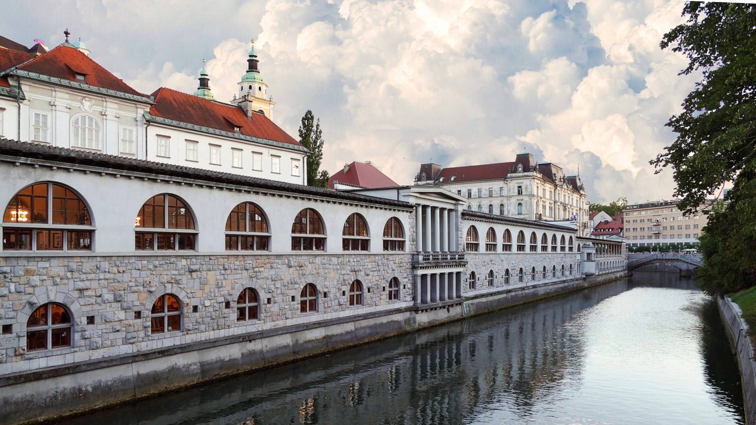 LTC System in Slovenia